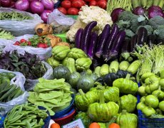 <b>无公害莴苣套装</b>